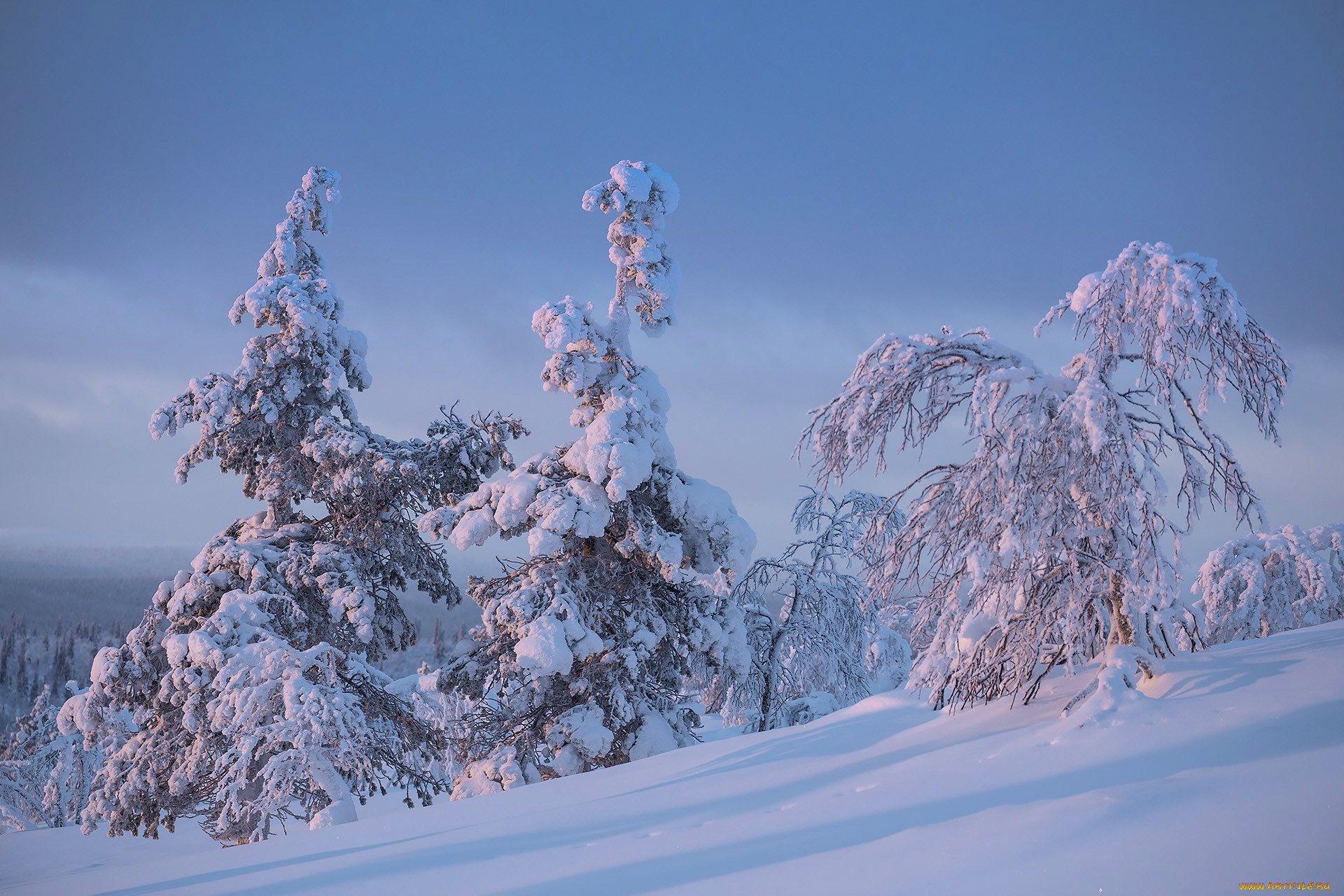 , , finland, lapland, , , , 